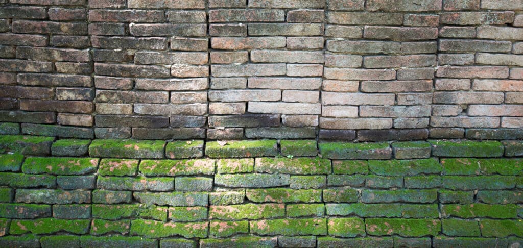 Alte Backsteinmauer - vorher und nachher